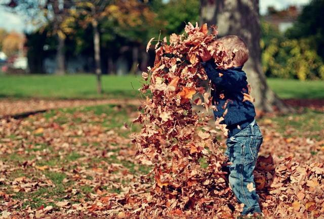 young boy playing in autumn leaves