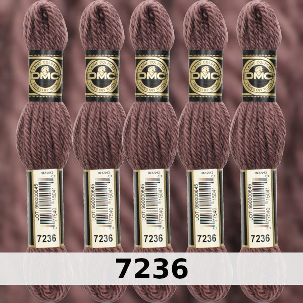 DMC Tapestry Wool 5 - Columns 17, 18, 19 and 20 on shade card