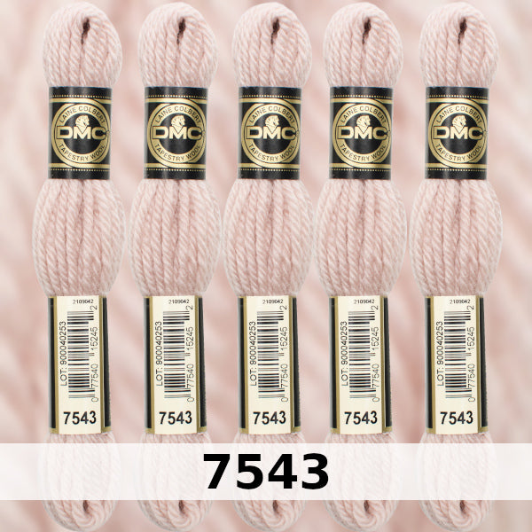 DMC Tapestry Wool 5 - Columns 17, 18, 19 and 20 on shade card